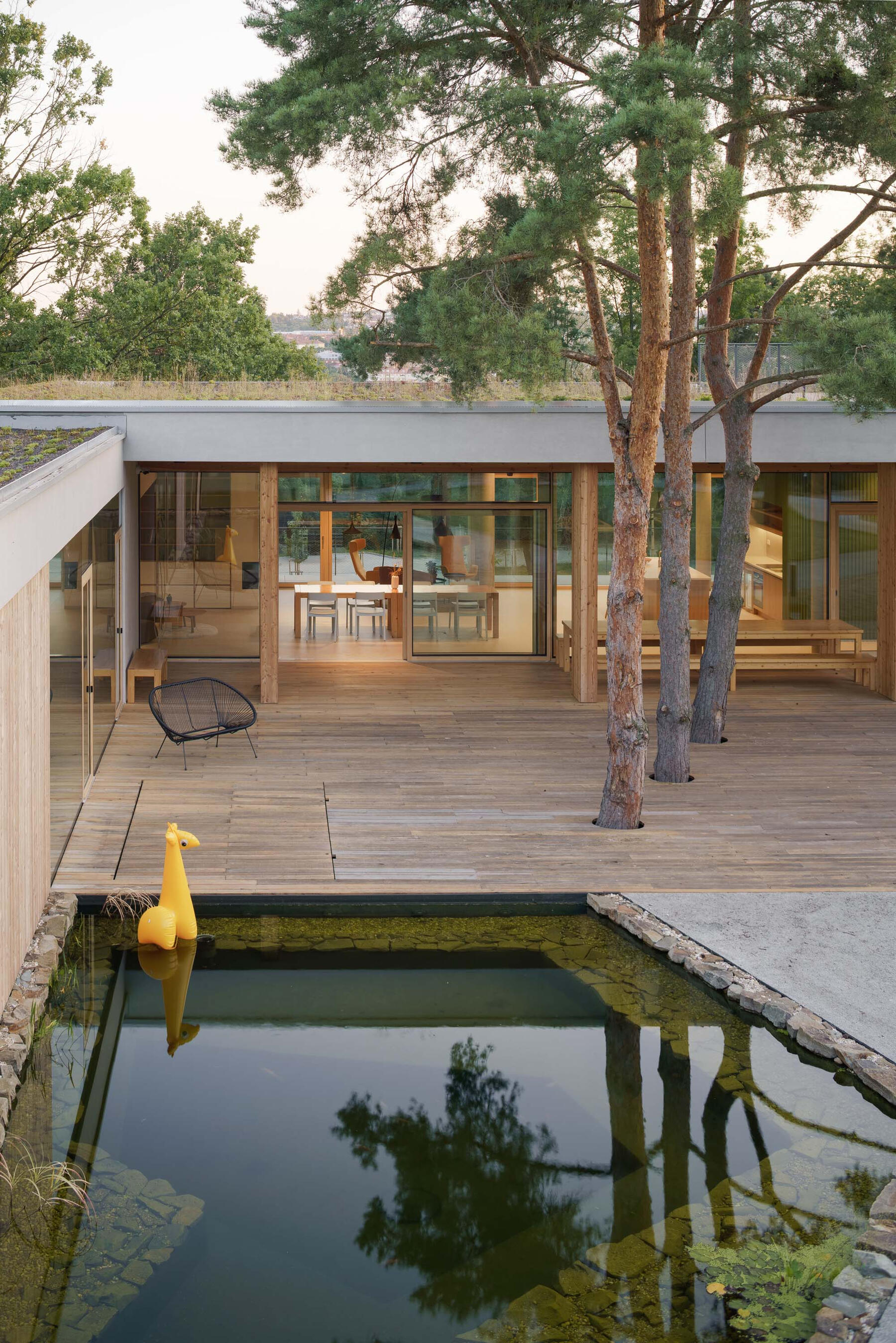 Inner atrium with a fish pond, old pines and a timber deck.